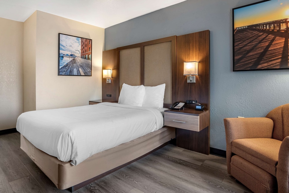 Standard Room, 1 Queen Bed, Accessible, Refrigerator & Microwave (Pet Friendly) - Photo 1