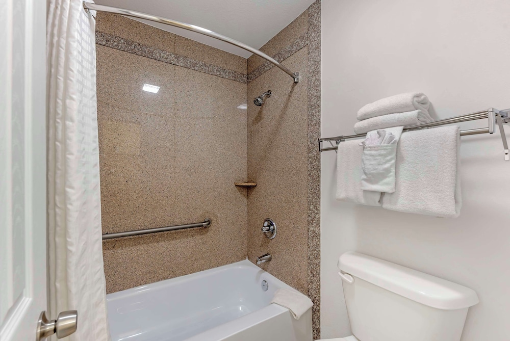Standard Room, 1 King Bed, Non Smoking, Refrigerator & Microwave (with Sofabed) - Photo 4