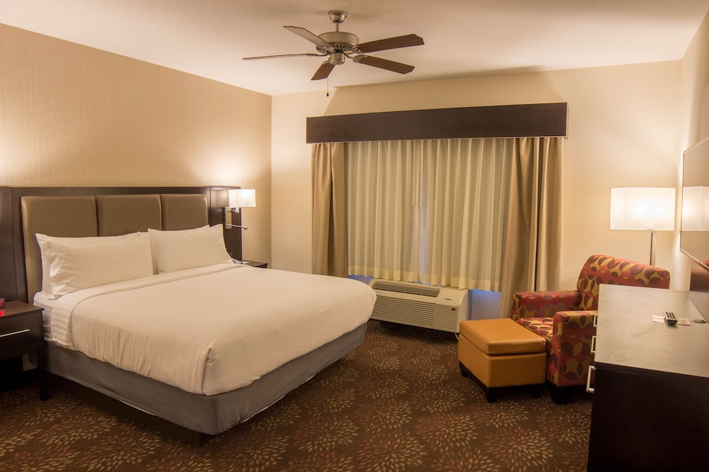 Suite, 1 King Bed, Accessible (Communications, Accessible Tub) photo 1
