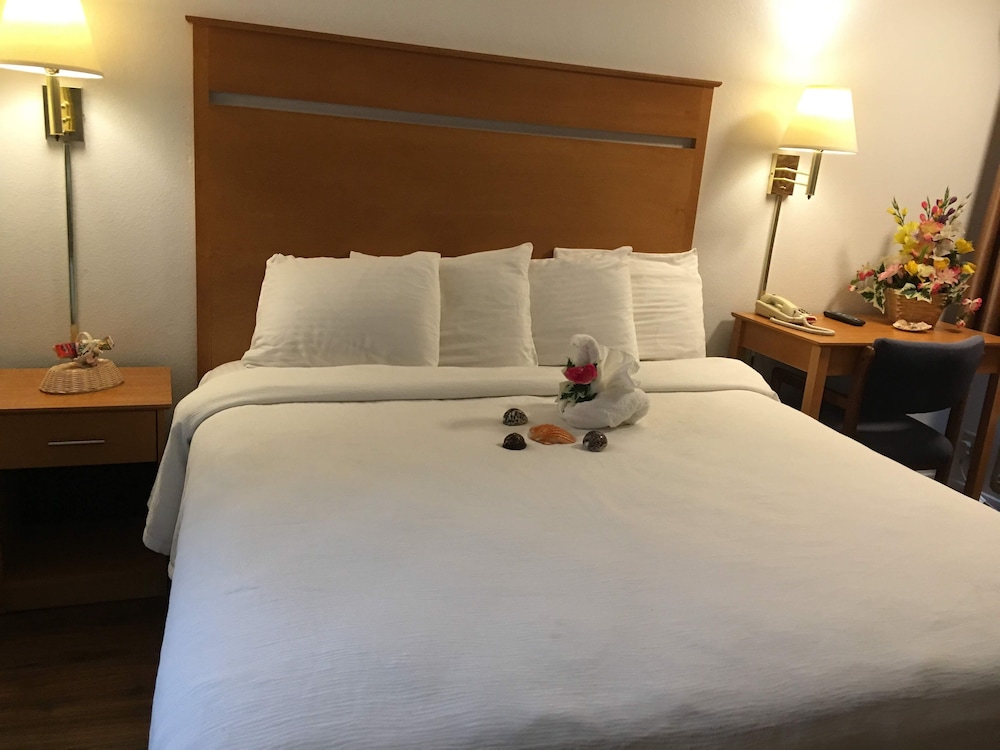 Deluxe Room, 1 King Bed, Jetted Tub, Non-Smoking, Street View (includes 1 parking space) photo 1