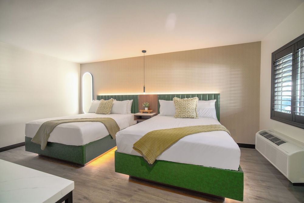 Executive Single Room, 2 Queen Beds, Non Smoking photo 3