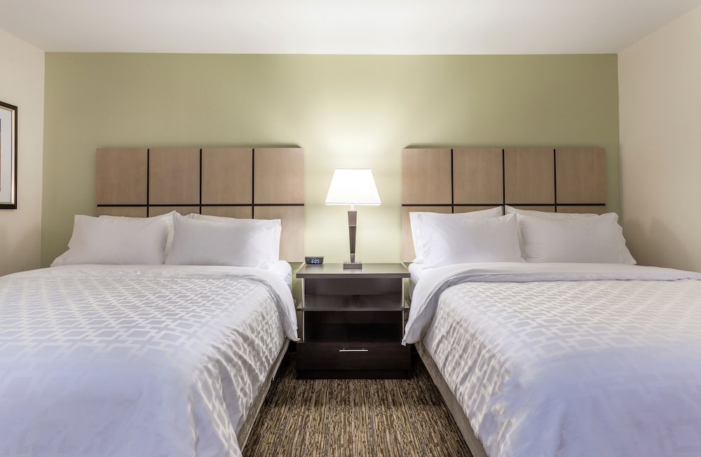 Studio Suite, 2 Queen Beds, Accessible, Non Smoking (Communications) photo 3