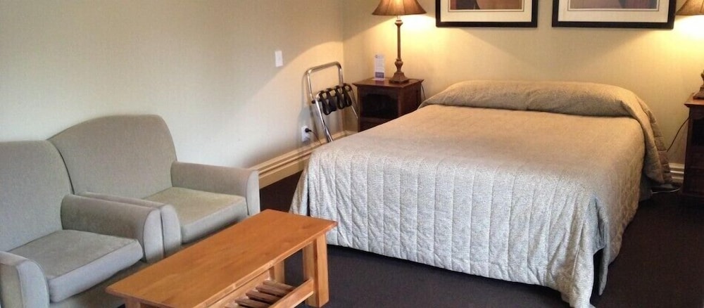 Studio, 1 Queen Bed