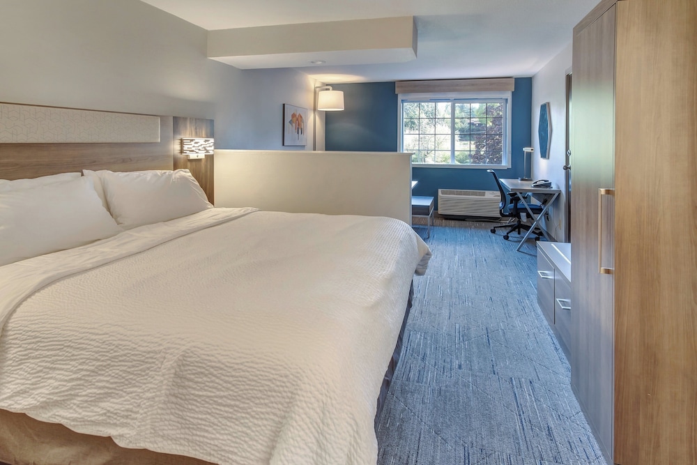 Suite, 1 King Bed - Photo 1