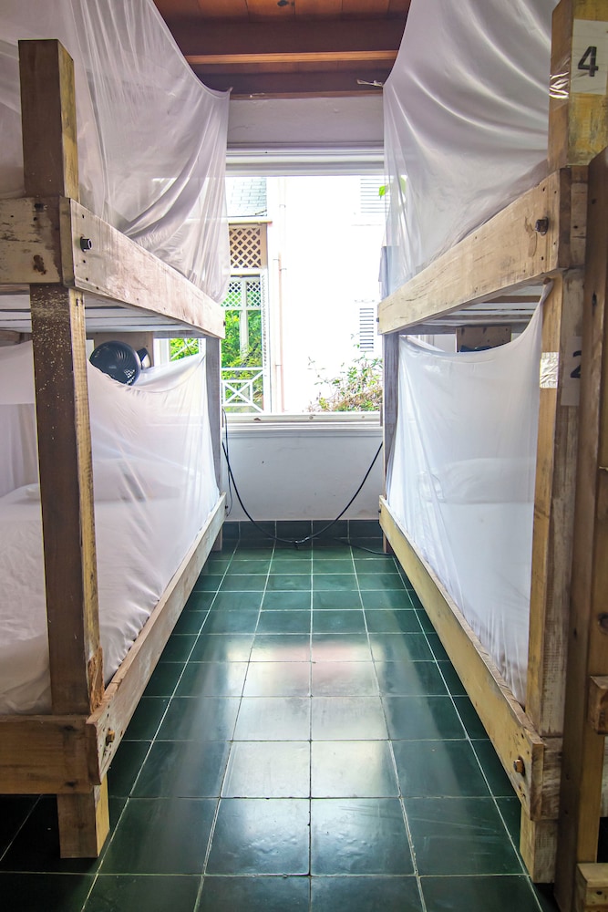 Basic Shared Dormitory photo 2