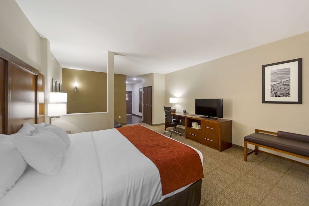 Executive Suite, 1 King Bed with Sofa bed, Non Smoking
