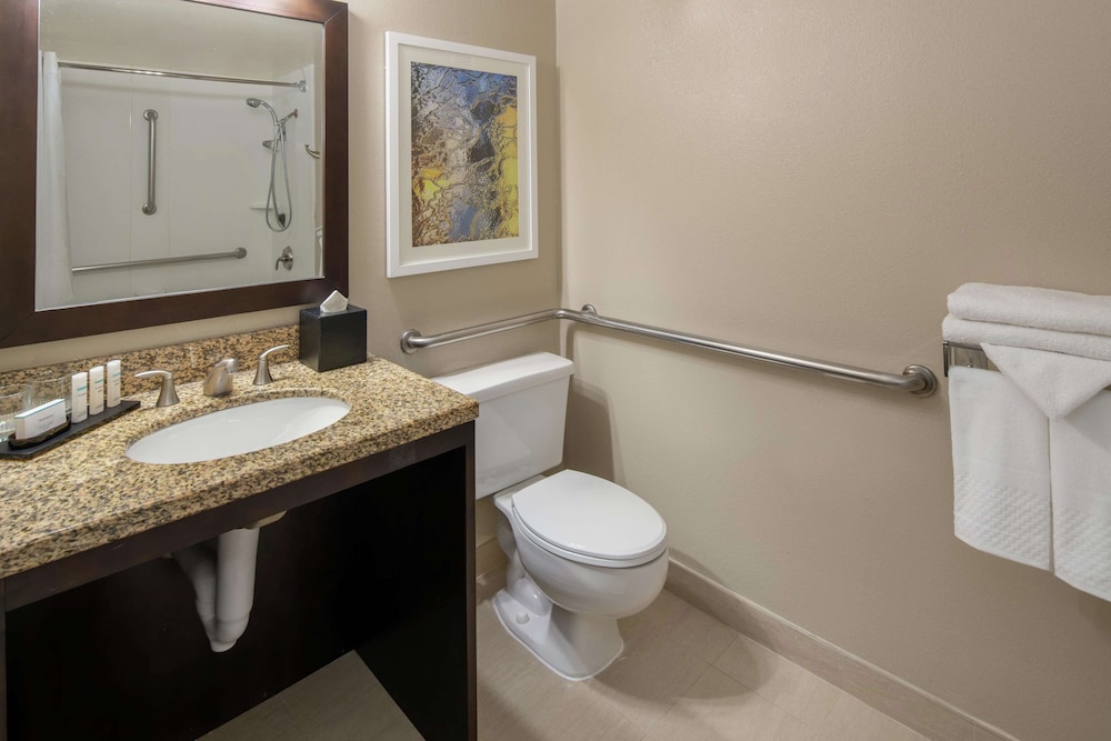 1 King Suite, Mobility/Hearing Access (Bathtub) - Photo 10