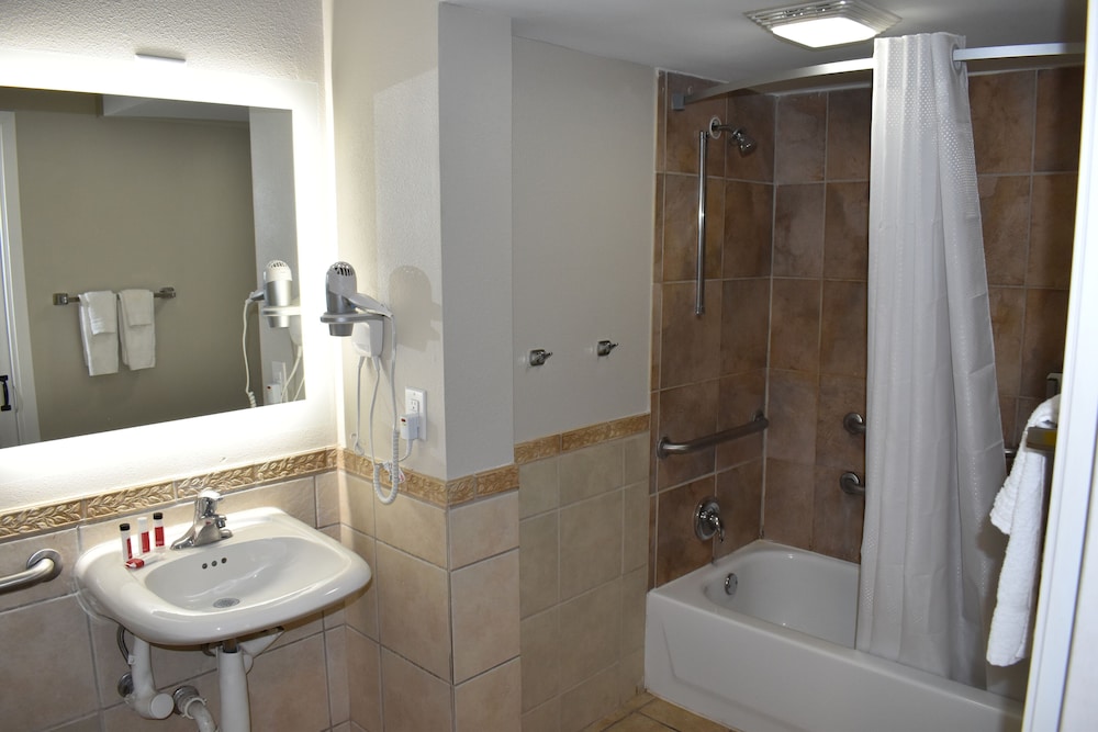 Room, 1 King Bed, Accessible, Non Smoking (Mobility,Hearing,Roll-In Shower) - Photo 4
