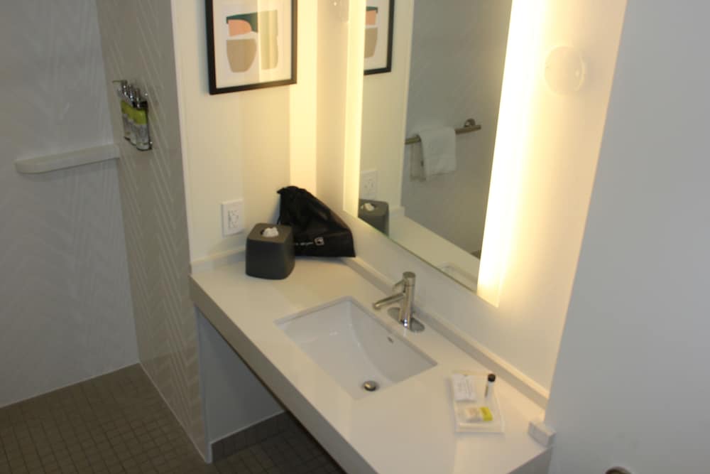 Standard Room, 1 King Bed, Roll-in Shower (Roll-In Shower) - Photo 6