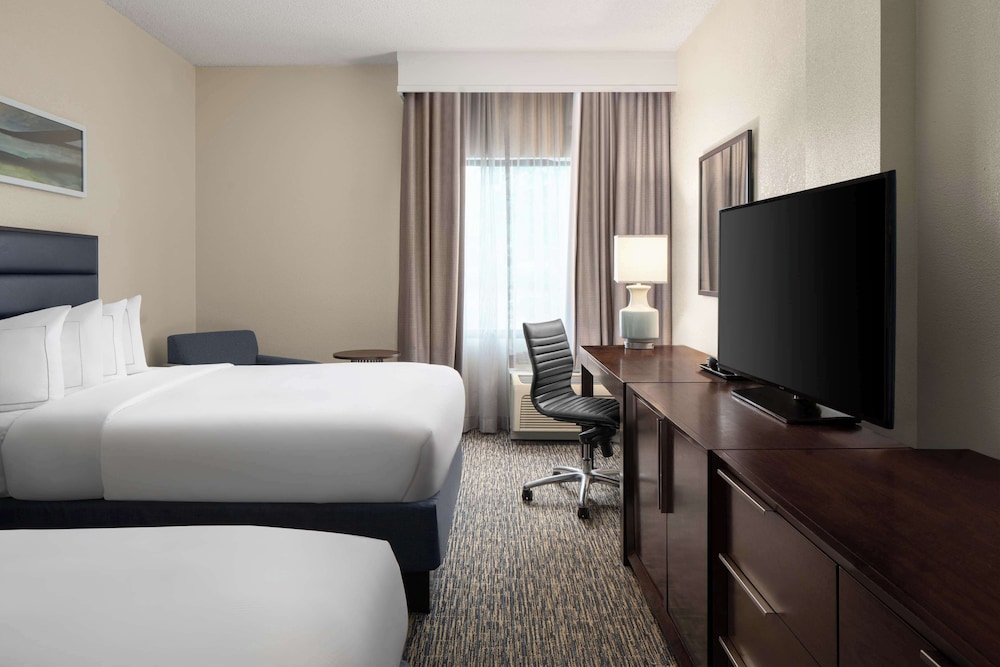 Room, 1 King Bed