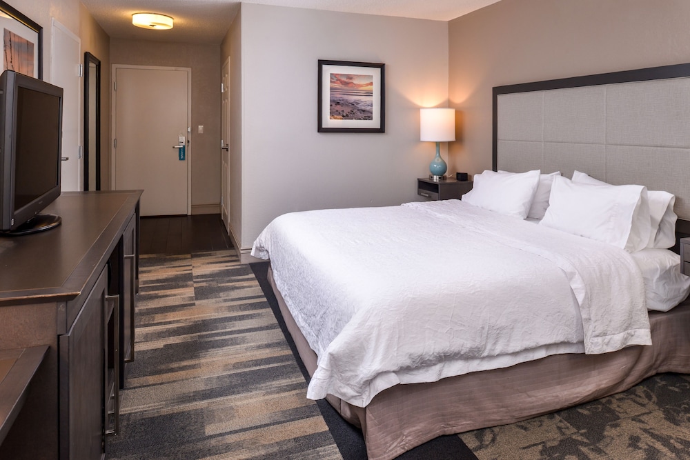 Room, 1 King Bed, Accessible, Non Smoking (Roll-in Shower) - Photo 6