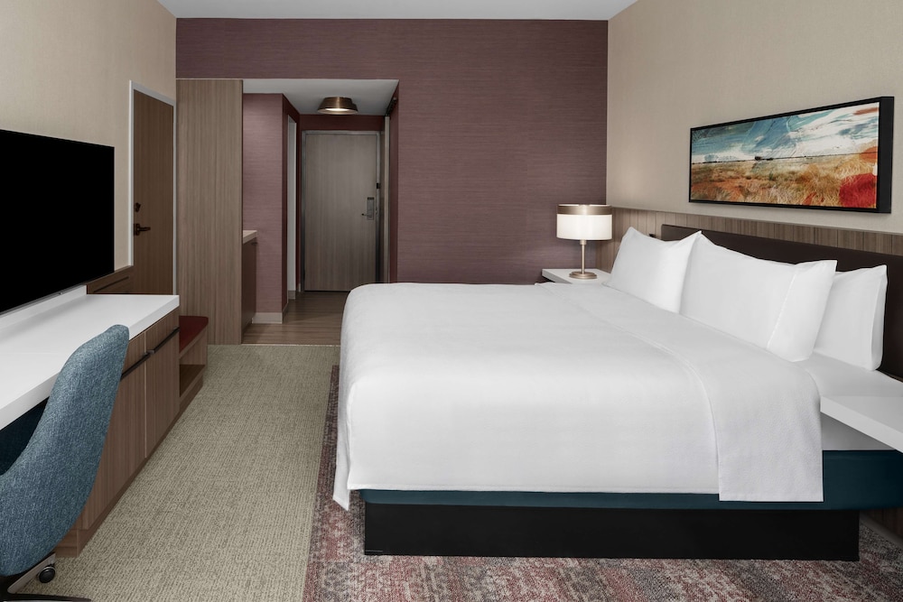 Room, 1 King Bed, Accessible, Bathtub (Mobility & Hearing) - Photo 2