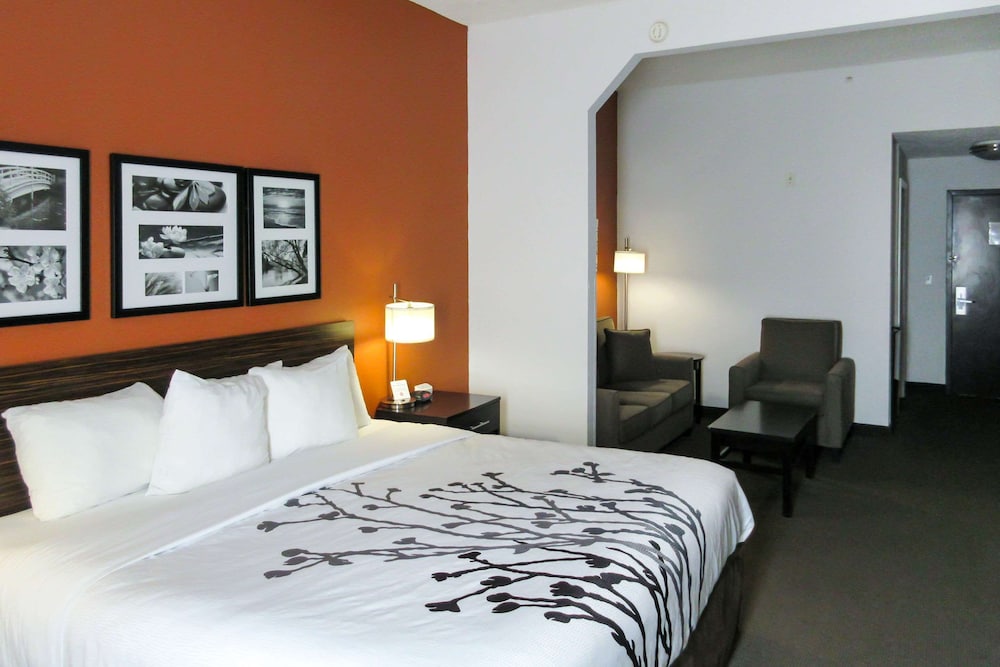 Suite, 1 King Bed with Sofa bed, Accessible, Non Smoking - Photo 7