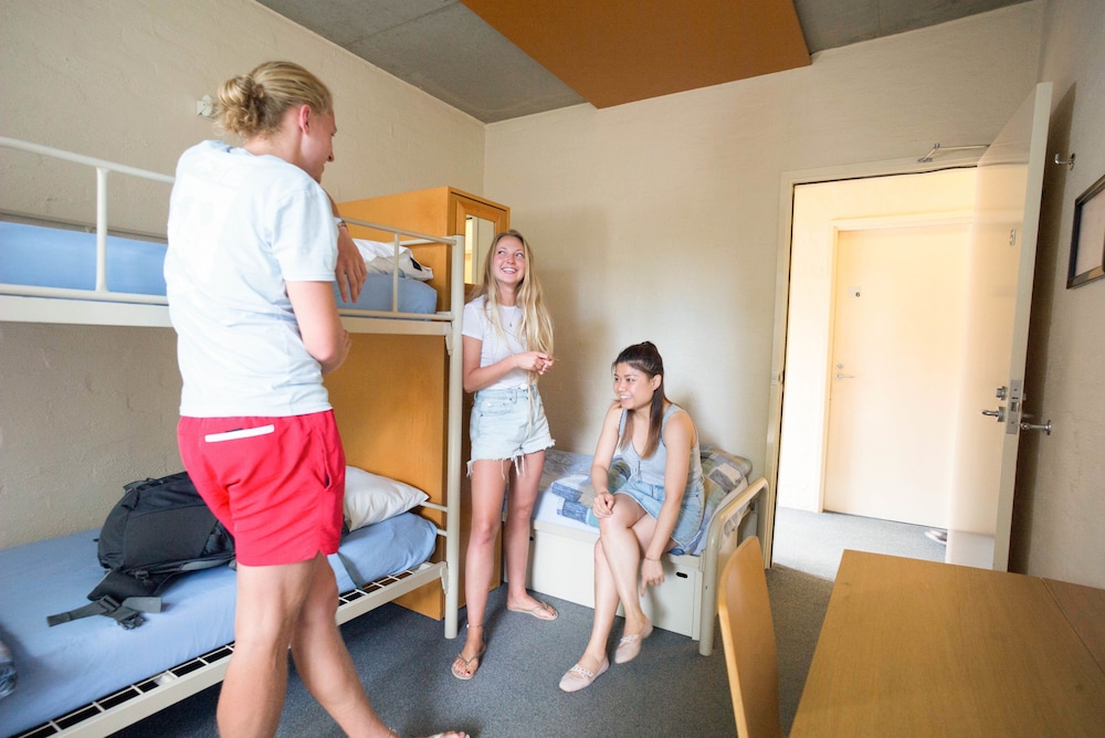 Entire 3-Bed Dormitory Room with Shared Bathroom photo 1