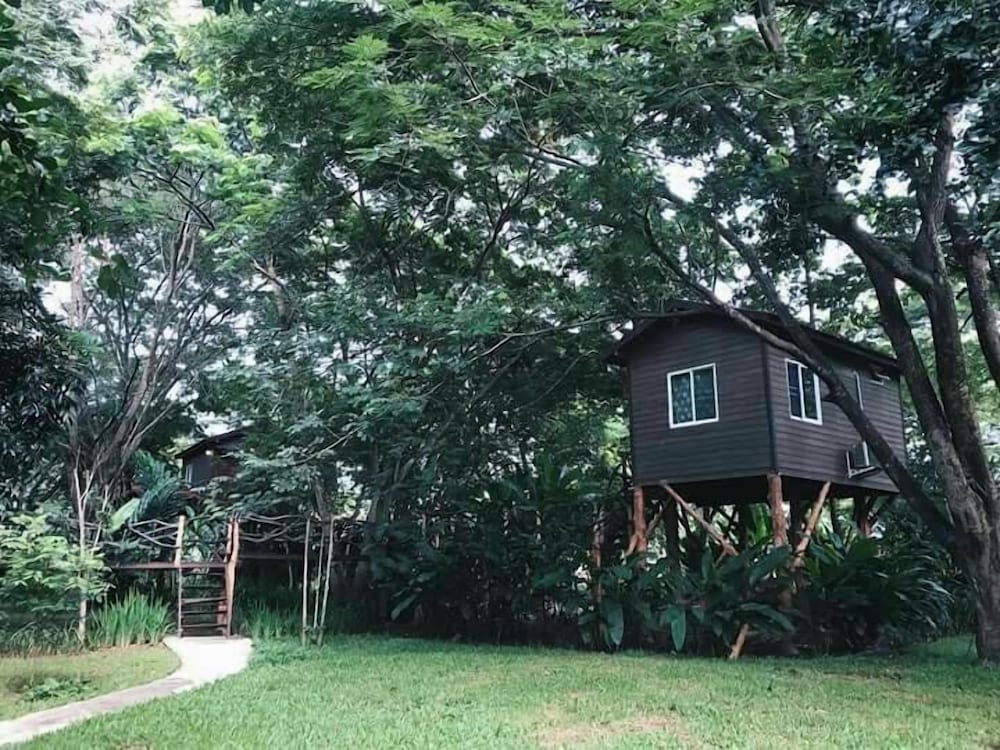 Tree House photo 3