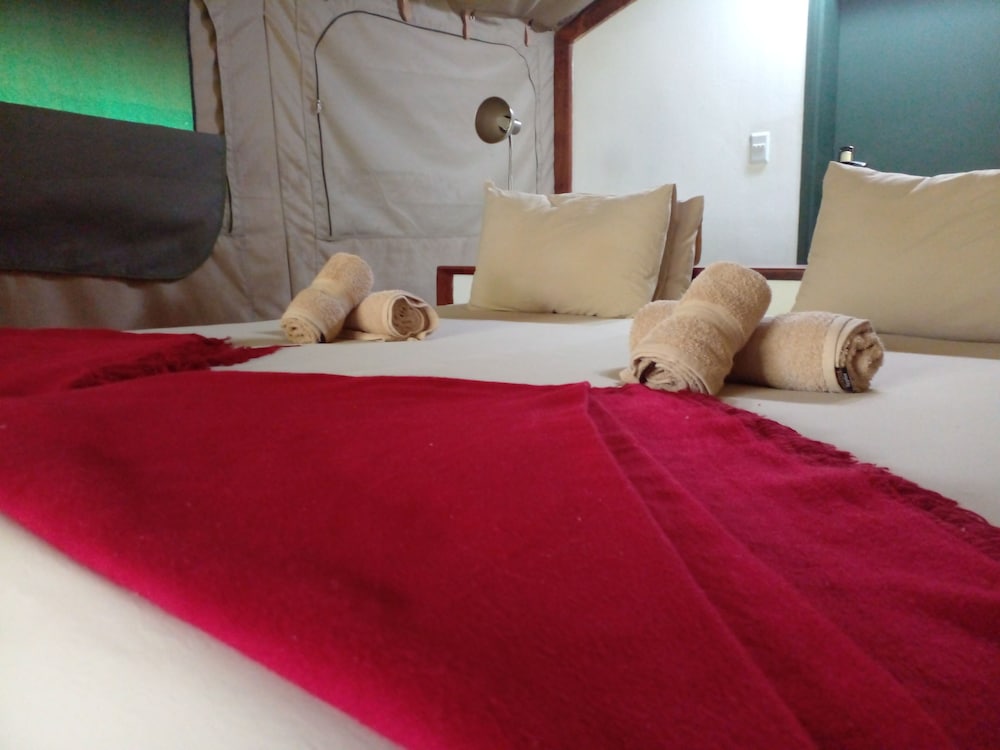 Luxury Tent, Multiple Beds photo 3