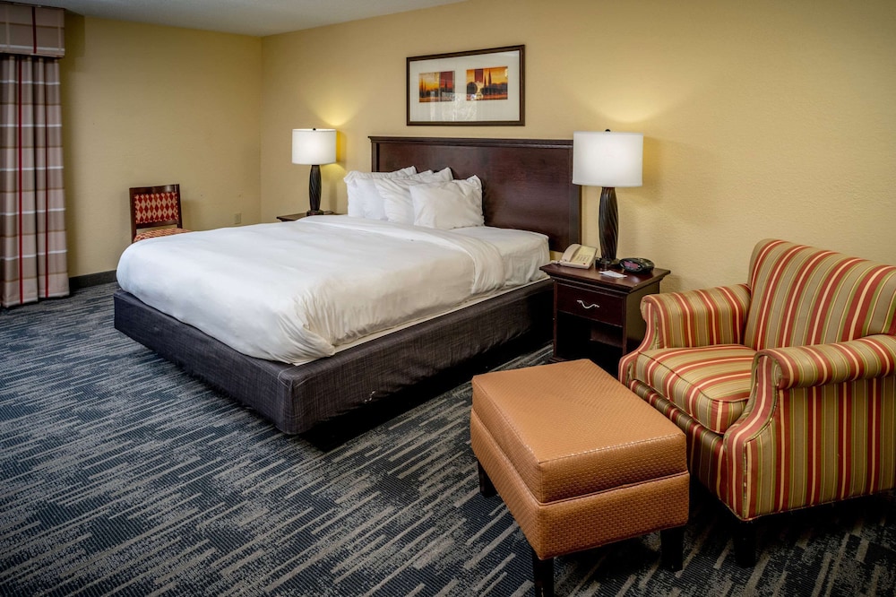 Suite, 1 Bedroom, Non Smoking - Photo 1