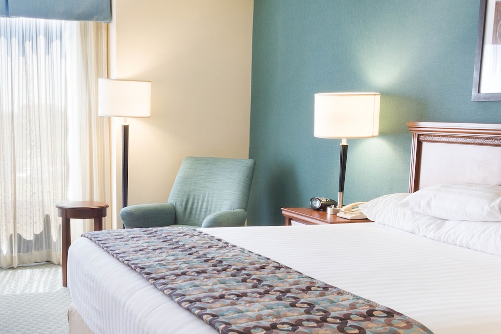 Deluxe Room, 1 King Bed, Accessible, Refrigerator & Microwave (Tub, Upper Floor) photo 2