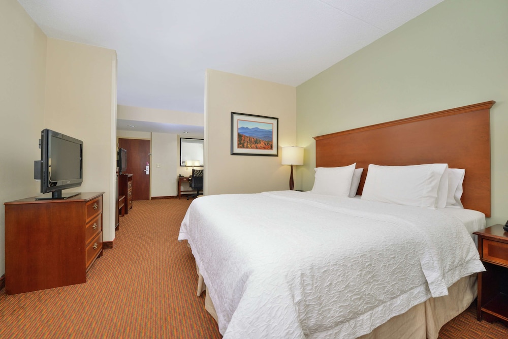 Suite, 1 Bedroom, Non Smoking - Photo 3