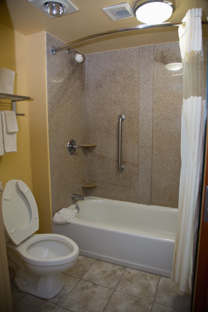 Business Room, 1 King Bed, Non Smoking, Microwave - Photo 3