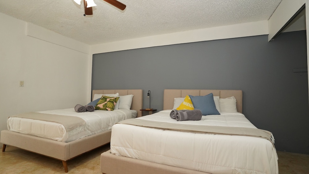 Junior Apartment photo 2