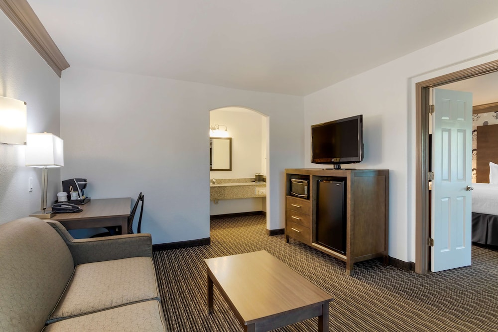 Suite, 1 King Bed, Non Smoking, Refrigerator & Microwave (With Sofabed) - Photo 3