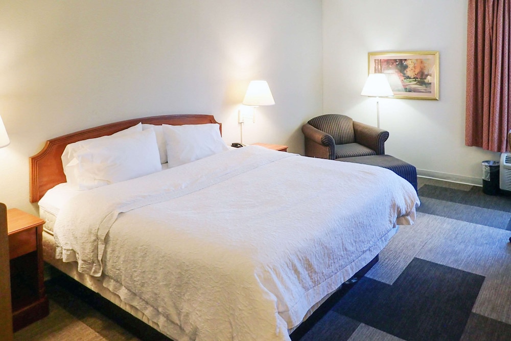Room, 1 King Bed, Non Smoking