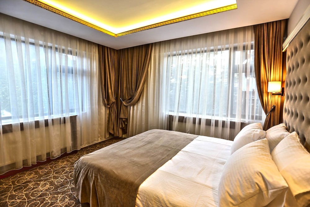 Standard Double or Twin Room, Mountain View