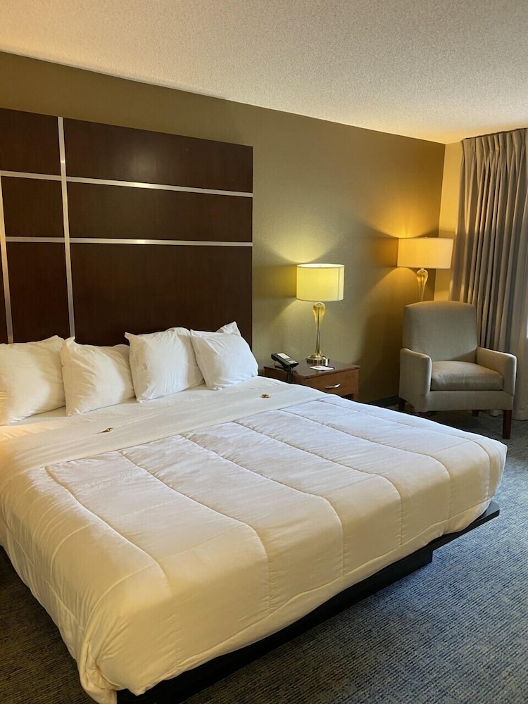 Premier Room, 1 King Bed photo 1