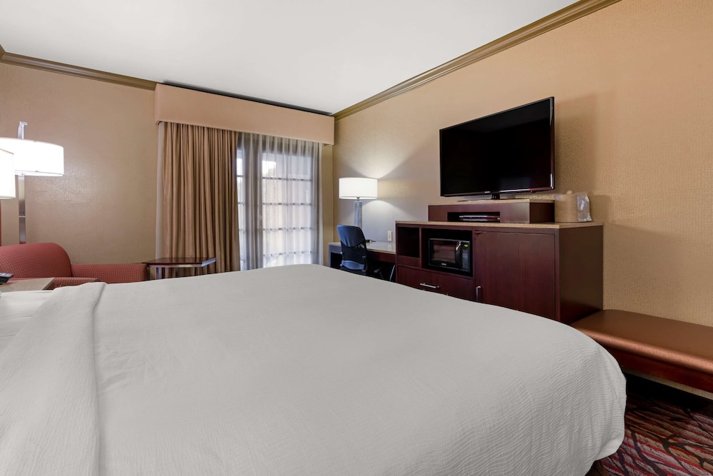 Standard Room, 1 King Bed, Non Smoking, Refrigerator & Microwave - Photo 3