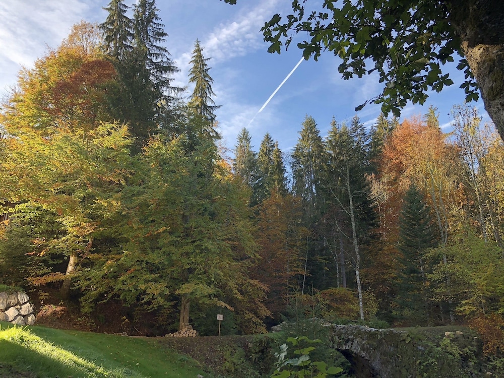 Le Moulin des Olirics, Foto 10
