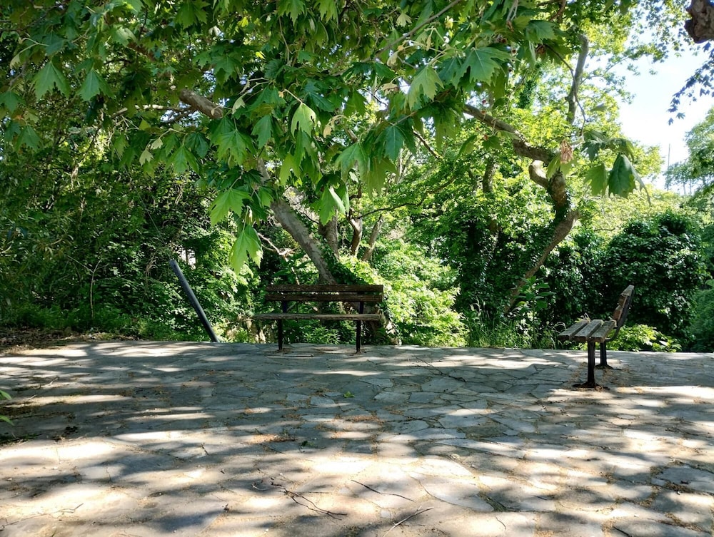 Zina s Cottage in Afetes, Foto 33