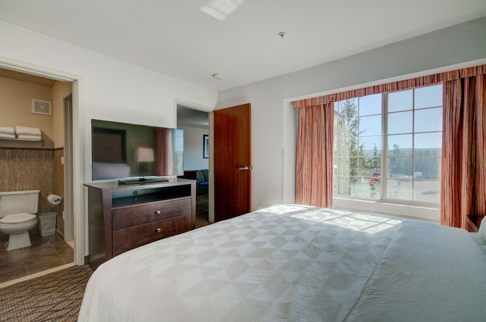 Suite, 1 King Bed - Photo 8
