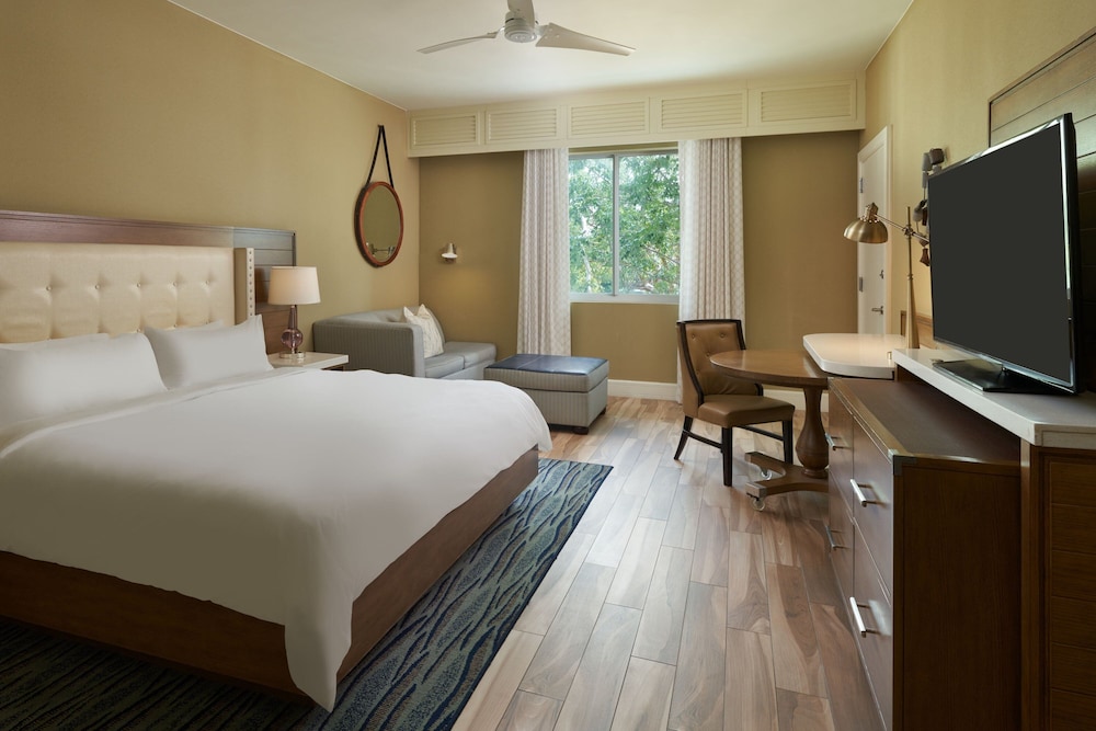 Room, 1 King Bed (Mobility Accessible, Roll-in Shower)