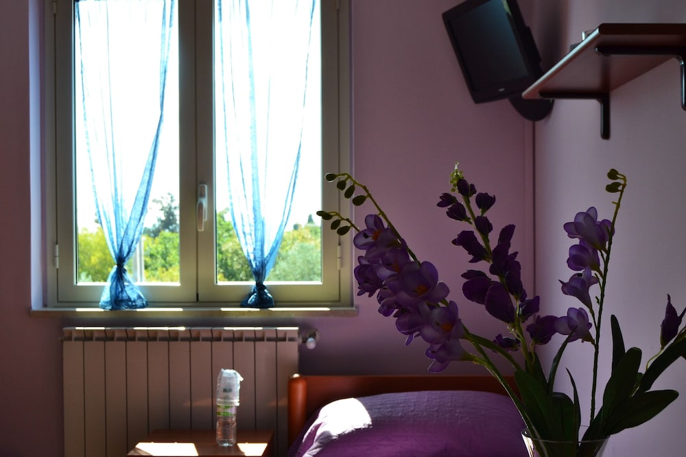 Panoramic Suite, Park View photo 1