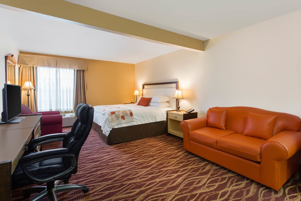 Deluxe Studio Suite, 1 King Bed, Accessible, Non Smoking - Photo 2