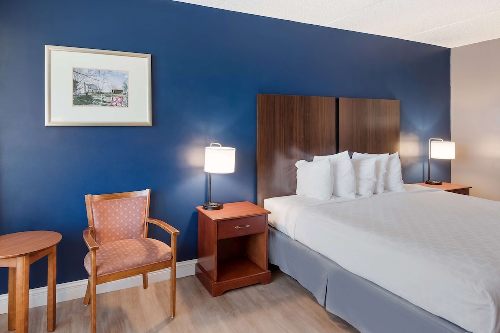 Standard Room, 1 King Bed, Non Smoking, Refrigerator & Microwave (Pet Friendly) - Photo 3