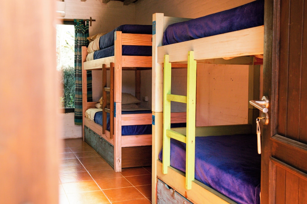 Basic Shared Dormitory, Multiple Beds photo 1