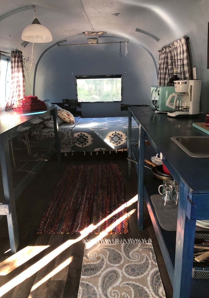 Basic Cabin photo 2
