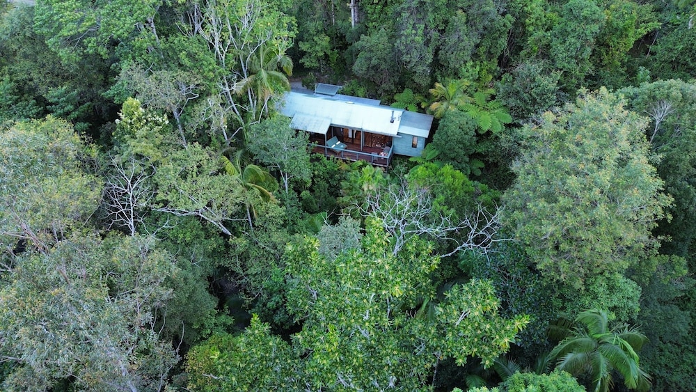 Superior Cabin, 1 King Bed, Garden View (Creekside Spa) photo 3
