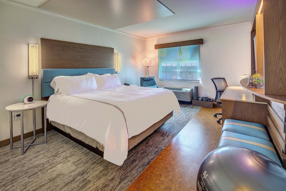 Suite, 1 King Bed - Photo 4
