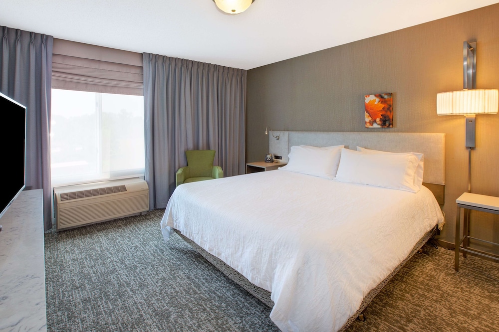 Room, 1 King Bed, Accessible - Photo 3