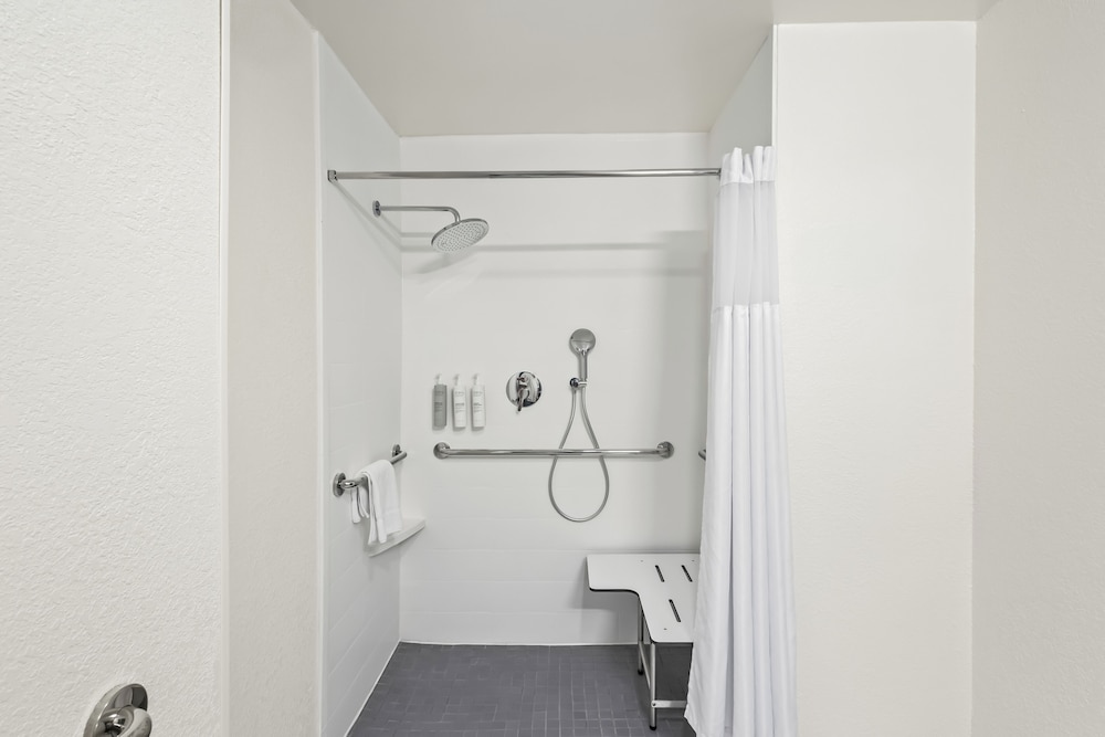 Room, 1 King Bed, Accessible (Mobility & Roll-In Shower) - Photo 4