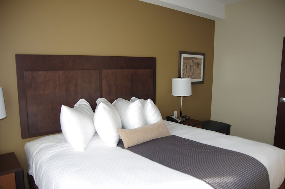Suite, 1 King Bed, Non Smoking, Kitchen (Queen sofabed, Full Kitchen) photo 3