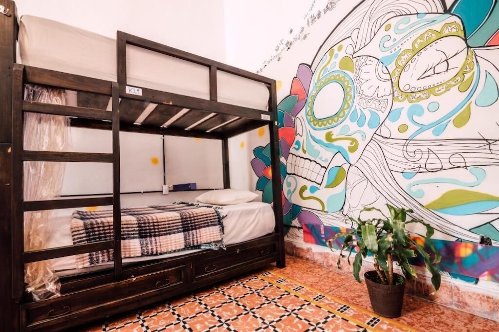 Shared Dormitory, Mixed Dorm photo 1
