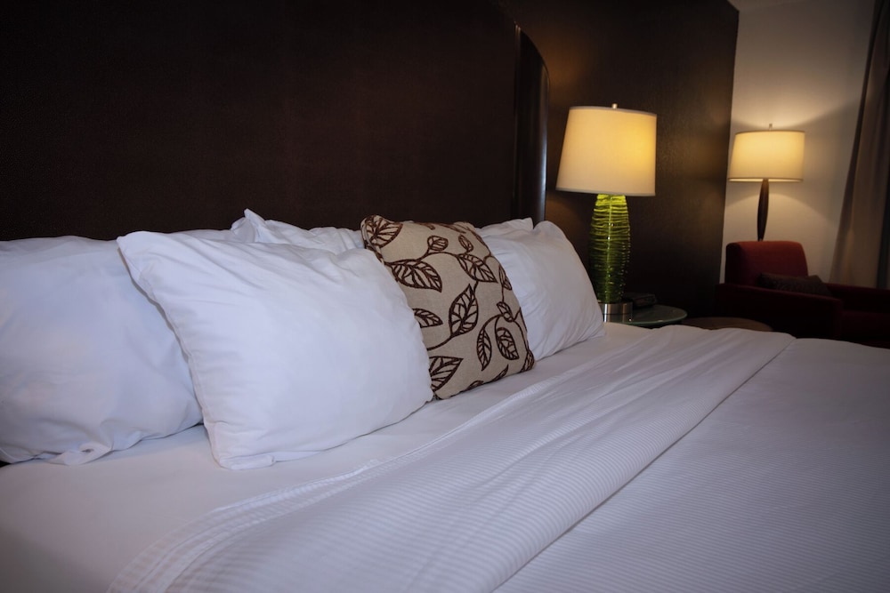 Handicap Accessible Single Room, 1 King Bed, Non Smoking - Photo 3