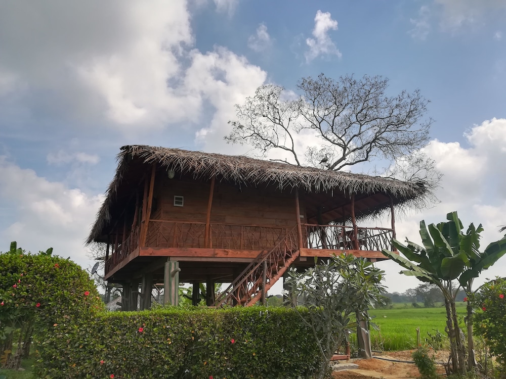 Family Tree House, 2 Bedrooms, Mountain View