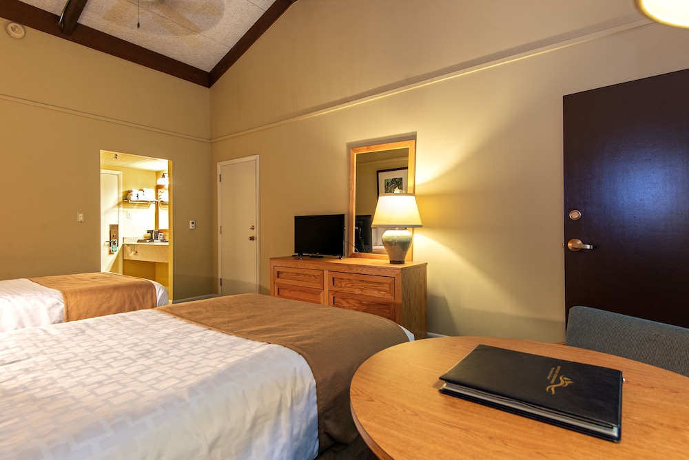 Deluxe Room photo 2