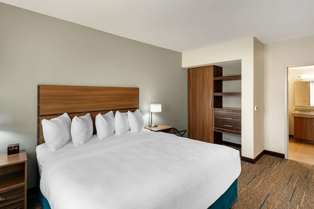Suite, 1 King Bed with Sofa bed, Accessible, Non Smoking (Efficiency) - Photo 1