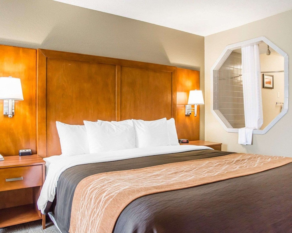 Standard Room, 1 King Bed, Non Smoking photo 2